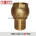 Brass One Way Check Valve as-C007